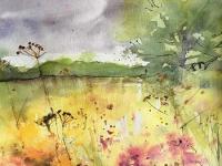 Meadow flowers and grasses with bank of distant trees and large tree 