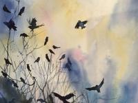 Evening sky with rooks coming home to roost