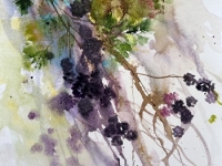 Blackberries and Brambles