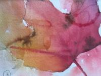 REd/yellow Autumn leaf 