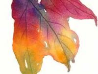 Autumn_leaf_7