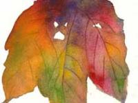 Autumn_leaf_5