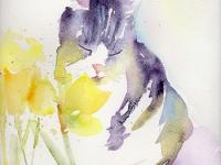 Billy the tabby cat smelling daffodils