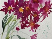 Dark red chrysanthemums against a pale blue/green background