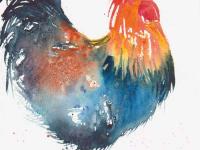 Cockerel 2