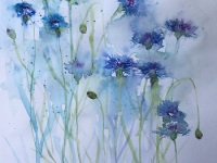 Blue cornflowers against a pale blue background