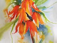 Bright orange flowers with green foliage against a blue background