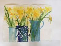Daffodils in three blue jugs