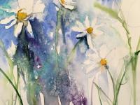 White daisies amongst colours of meadow flowers; blue background