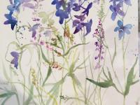 Blue delphiniums interspersed with grasses and sorrel