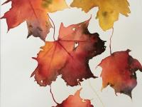 Drifting Autumn Leaves