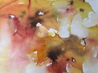 Yellows, oranges and reds in flling Autumn leaves