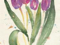 Early_Spring_Tulips