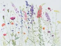 A variety of English flowers against a white background