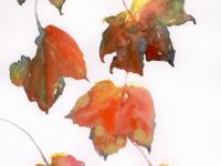 Falling Leaves