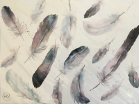 Assorted grey/blue feathers scattered together