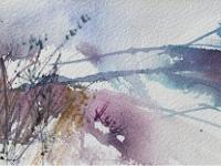 Winter stems against a blue/grey snowy landscape.