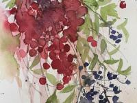 Red hawthorn and blue black priver berries tangling together in a winter hedge