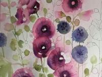 Pink and blue hollyhocks and buds growing together