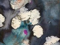 Silvery seed cases against a blue black background