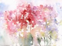 Pink hydrangea heads grouped together