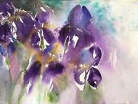 Purple irises growing together with bright blue top background, green below