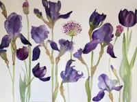 Dark purple irises, pink alliums and black tulips