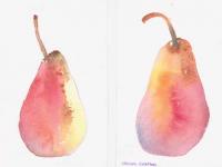 A_Pair_Of_Pears