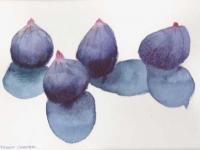 Figs 1