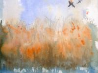 Birds flying across golden reeds and water Wicken Fen