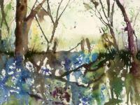 Trees with carpet of bluebells and gate in the distance