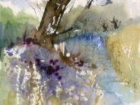 Old tree leaning into the water with flowers on bank in foreground