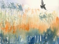 Bird flying across orange reeds and blue water