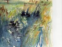 Bird flying across water and reeds