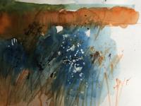 Band of gold, blue water and birds Wicken Fen