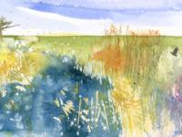 Blue water/ Wicken Fen with orange/gold reeds, bird and distant trees