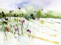 The Glistening snowy landscape with winter stems in foreground.