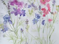 Flowers growing together in blues and mauves