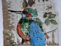 Kingfisher looking for fish