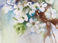 White May Blossom with sepia ink and watercolour