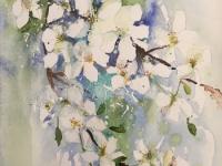 White blossom against blue background with ink stems