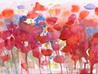 Masses of red poppies in a meadow