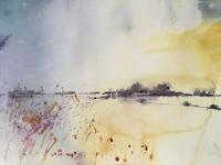 Reeds in foreground with yellow morning colours in right hand sky and field