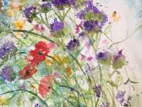 A mass of hedgerow flowers against ablue background with an Orange Tip butterfly