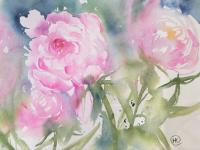 Soft focus pink peonies growing together