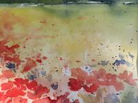 Bright foreground poppies with yellow field and trees in background