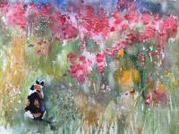 A filed of poppies with Poppy the calico cat sitting in the corner