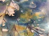 Blue green/gold reflections playing amongst water lilies, dappled in light