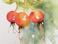 Orange red rose hips with a variety of green in the background