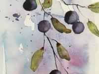 A branch of blue mauve sloes against a blue background